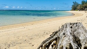 Une plage de sable fin bordée d’une eau turquoise et limpide, un grand morceau de bois flotté et, au loin, des palmiers.