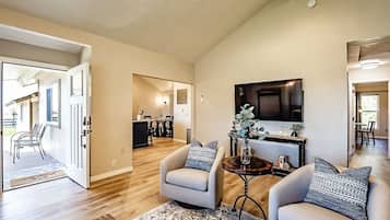 Smart TV, fireplace, books