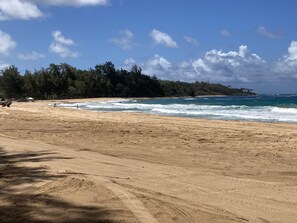 On the beach, sun loungers, beach towels - Huge 6 br/6 ba Beachfront, for big groups,A.C. accessible, in relaxed old Hawaii (Anahola)