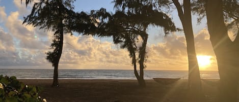 Plage, chaises longues, serviettes de plage