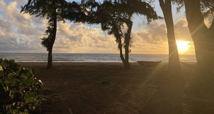 Huge 6 br/6 ba Beachfront, for big groups,A.C. accessible, in relaxed old Hawaii