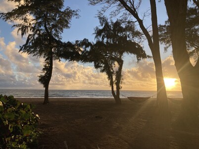 Huge 6 br/6 ba Beachfront, for big groups,A.C. accessible, in relaxed old Hawaii