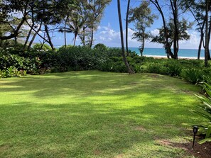 Property grounds - Huge 6 br/6 ba Beachfront, for big groups,A.C. accessible, in relaxed old Hawaii (Anahola)