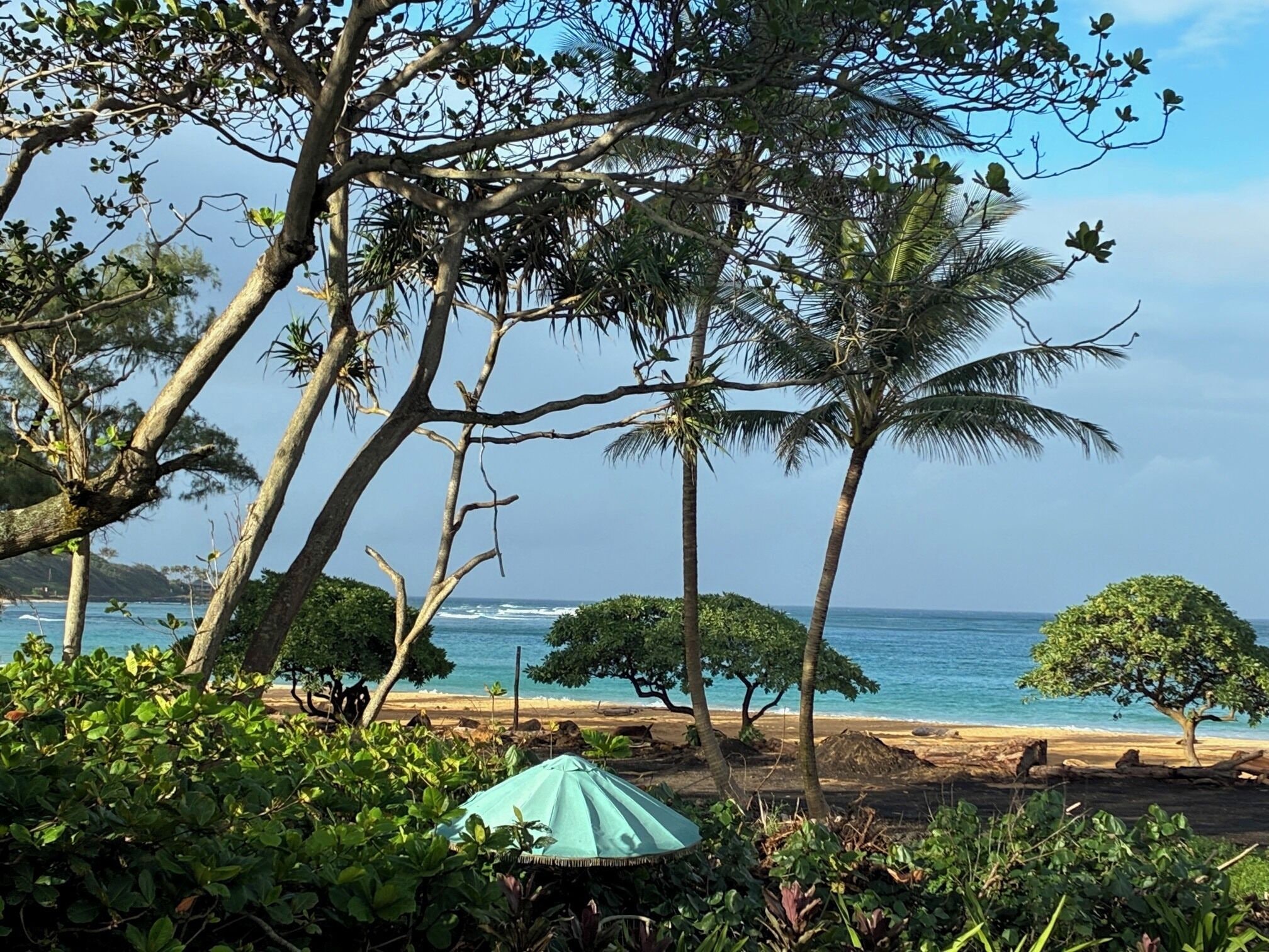 Plage, chaises longues, serviettes de plage