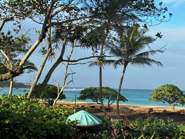 En la playa, camastros y toallas de playa 