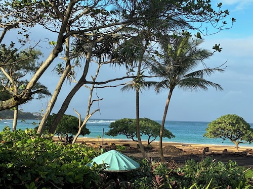 Huge 6 br/6 ba Beachfront, for big groups,A.C. accessible, in relaxed old Hawaii