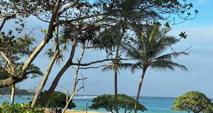 Huge 6 br/6 ba Beachfront, for big groups,A.C. accessible, in relaxed old Hawaii
