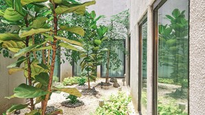 A courtyard with various plants, a rock garden, and a view through large windows. - Citadines Connect City Centre Singapore (Singapore)
