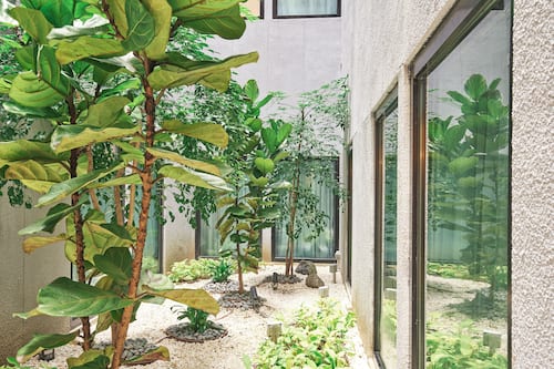 Courtyard view