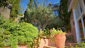 A courtyard with a large tree, potted plants, and a tiled floor.