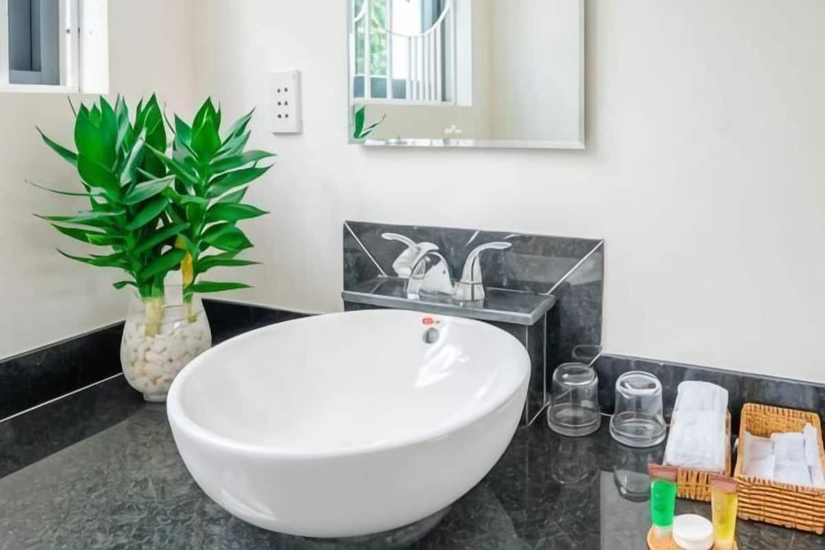 A bathroom with a white sink, black marble countertop, a potted plant, a mirror, and toiletries.