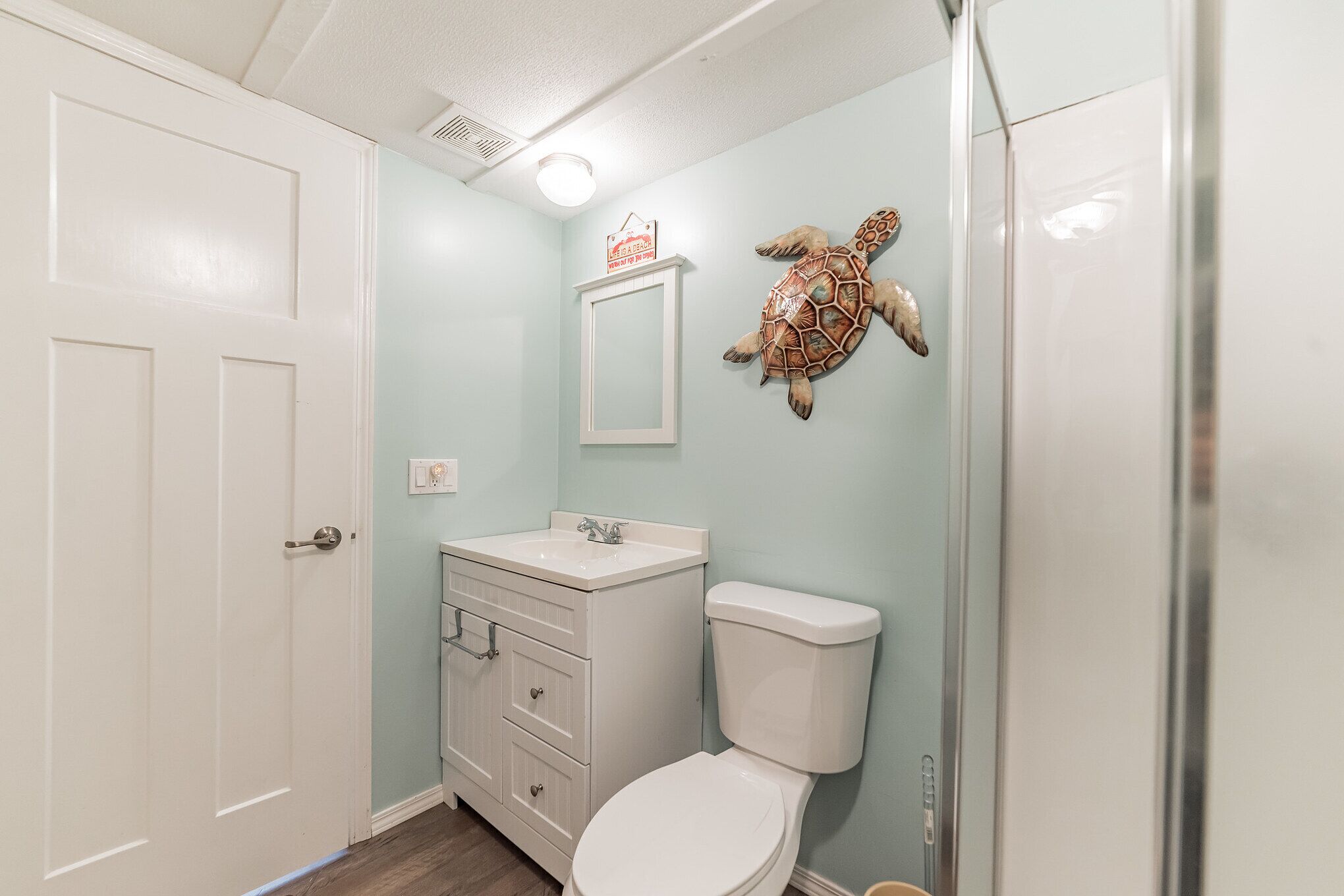 A bathroom with a white toilet, a vanity with a sink, and a decorative turtle on the wall.