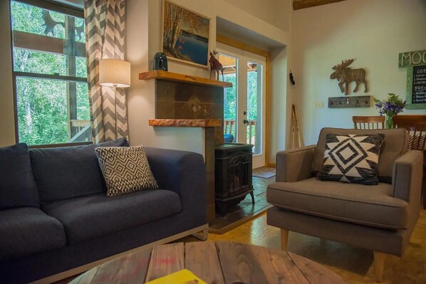 Smart TV, fireplace, books