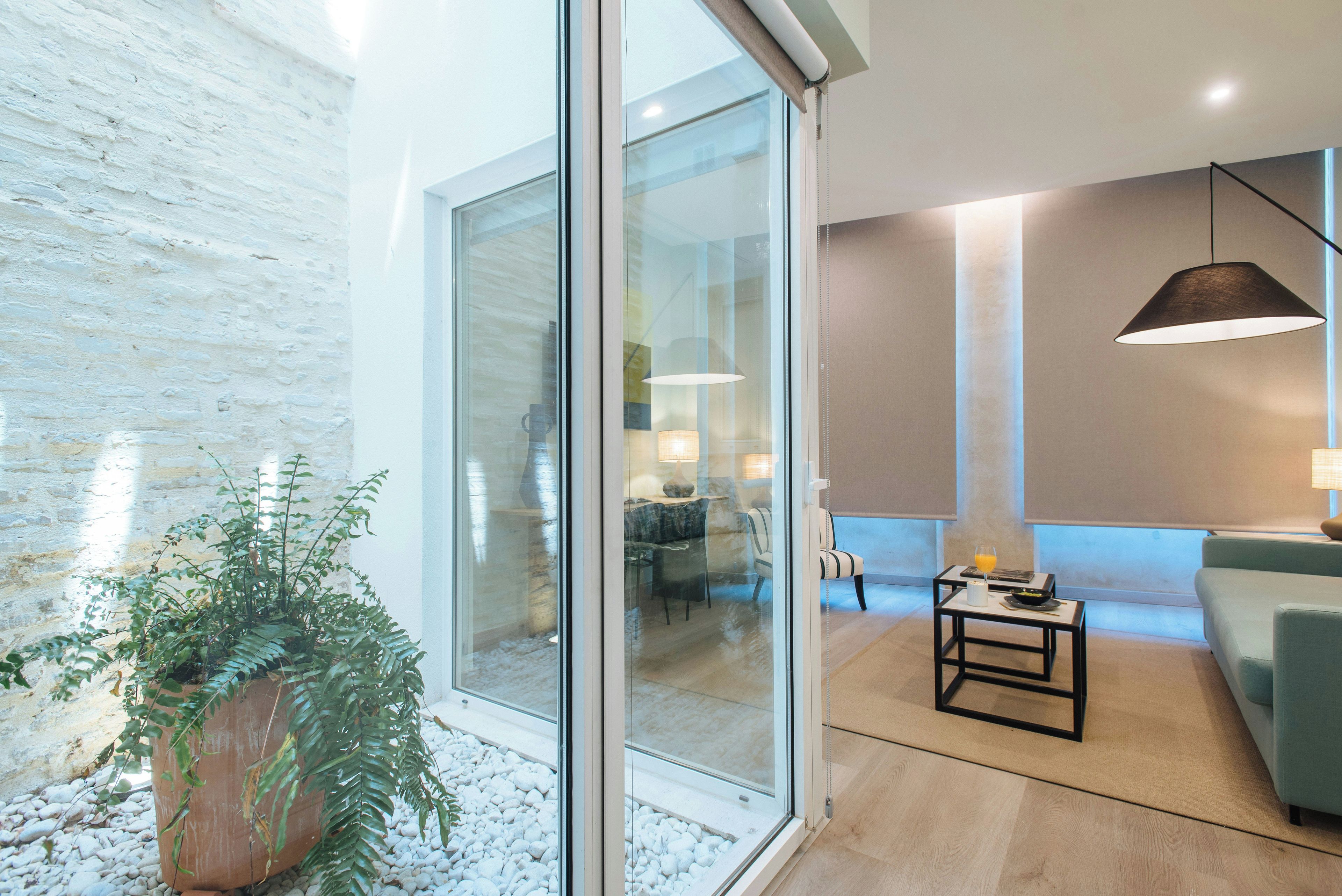 A modern living room with a glass wall, a potted plant, a sofa, a coffee table, and a hanging light fixture.