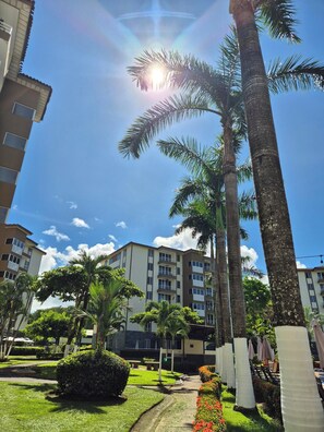 A residential area with tall palm trees, a clear sky, and multi-story buildings.