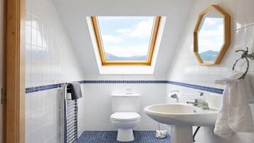 A small bathroom with a skylight, a toilet, a sink, and a mirror.