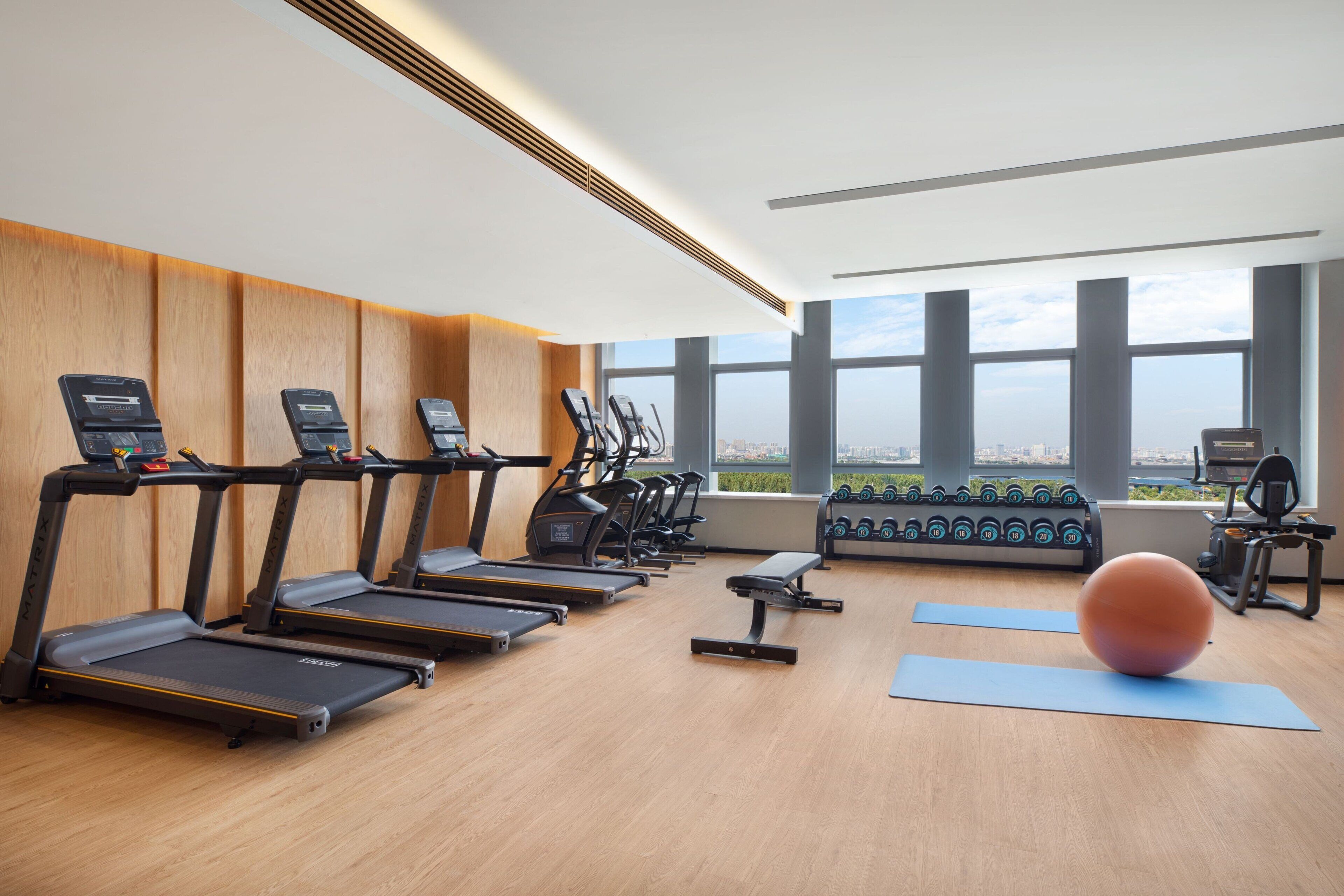 A modern gym with treadmills, elliptical machines, a bench, and an exercise ball.