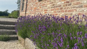 A rustic stone building with a gravel pathway and a bed of purple flowers.