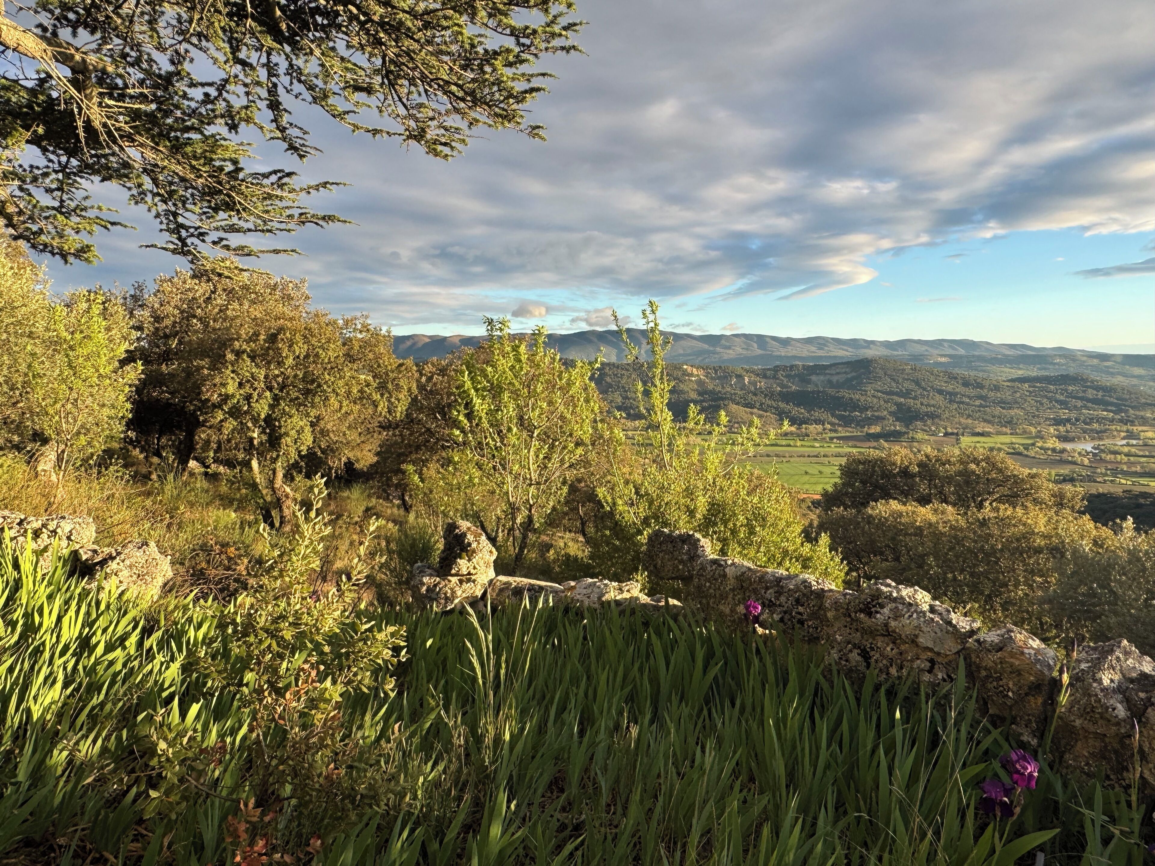 A natural landscape with a stone wall, green vegetation, and a distant view of hills and valleys.