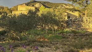 Um edifício rústico de pedra com parede de pedra e uma pequena janela, rodeado por vegetação densa e flores roxas.