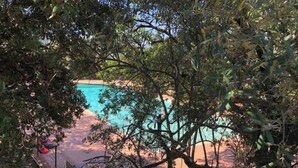 Uma área de piscina rodeada por vegetação densa, com vista clara para a água e um caminho que leva até a piscina.