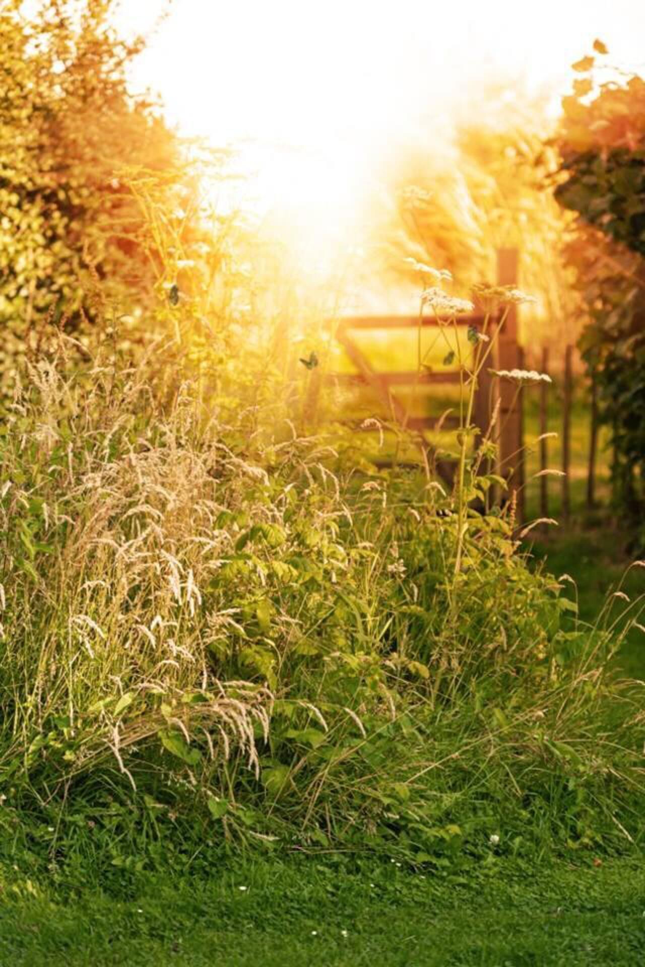 House, Multiple Beds | Property grounds