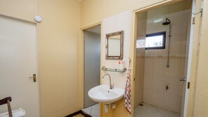 Un baño con lavamanos, espejo y ducha.