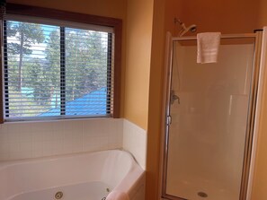 Hair dryer, towels, shampoo - Amongst the Aspens in the Upper Valley (Red River)