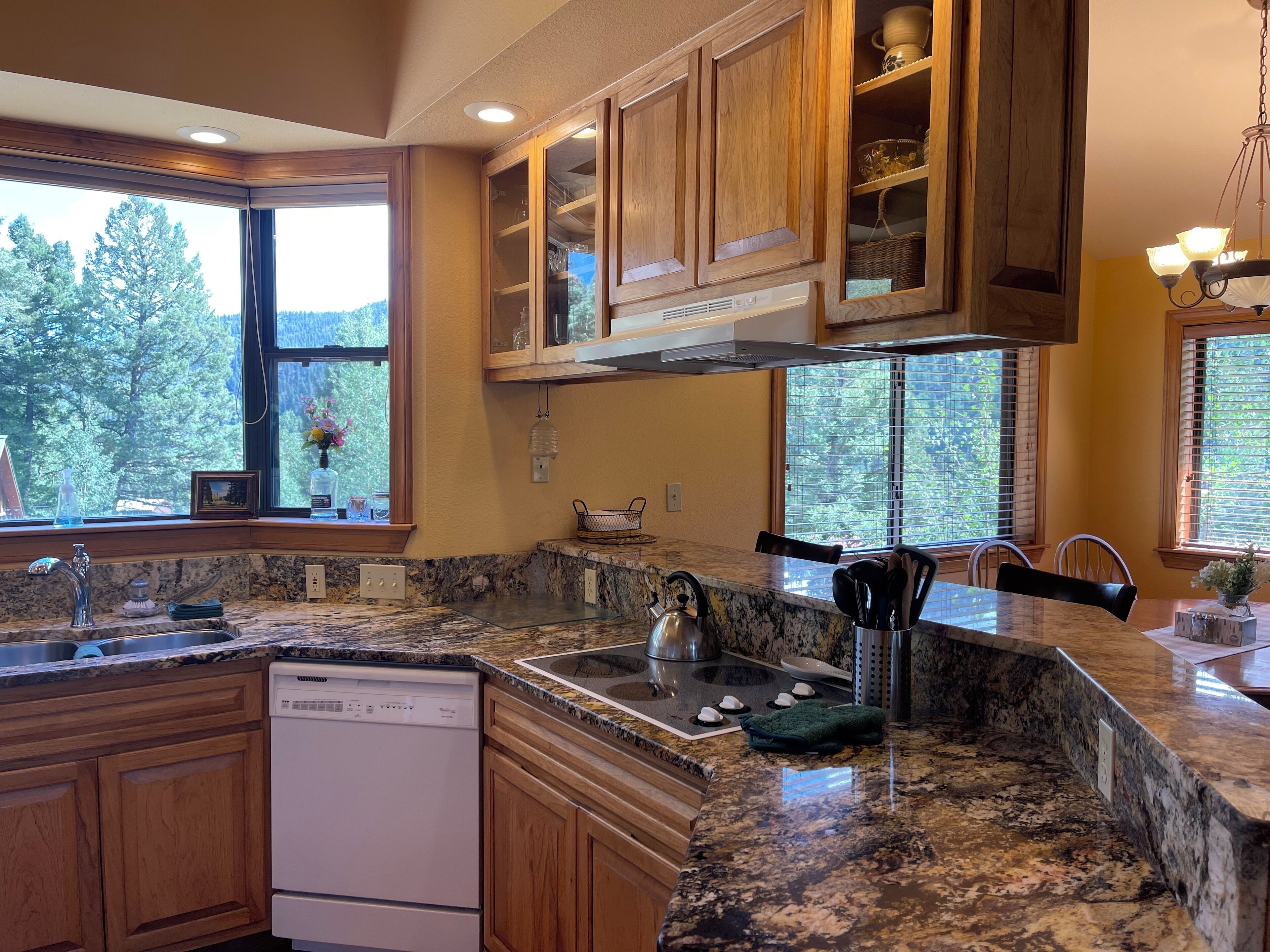 A kitchen with granite countertops, wooden cabinets, a dishwasher, and a window with a view of trees.