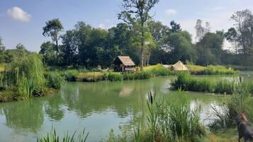 Escape to a serene lakeside retreat with a cabin and a secluded tent surrounded by lush greenery.