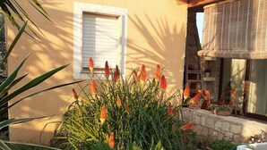 A garden with a stone wall, a window with shutters, and a variety of plants including a large palm tree. - Villa Maristella 1 a stone's throw from the sea (Capilungo)