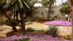 A garden area with a variety of plants and flowers, including purple flowers and a palm tree. - Villa Maristella 1 a stone's throw from the sea (Capilungo)