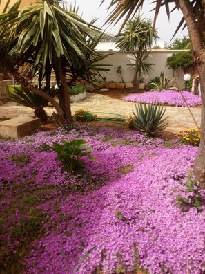 Property grounds - Villa Maristella 1 a stone's throw from the sea (Capilungo)