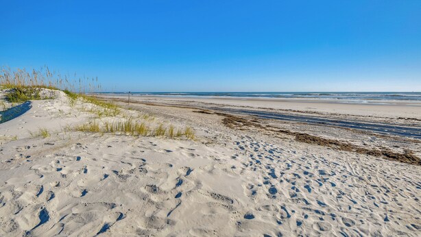 A sandy beach with footprints and sparse vegetation.