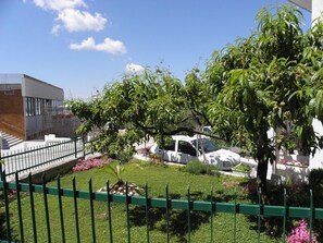 Jardín