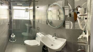 A modern bathroom with a glass-enclosed shower, a toilet, a sink, and a mirror.