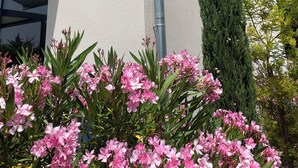 Un edificio de fachada color beige, un seto alto de color verde y flores rosadas en primer plano.