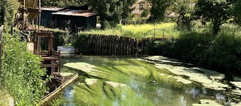 Albergo Mingone 飯店