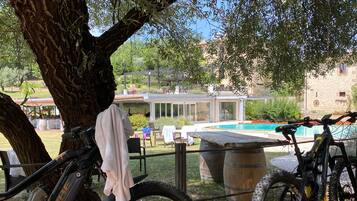 A tree-lined outdoor area with a brick patio, a pool, and a building in the background.