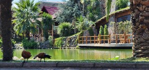 บริเวณภายนอก