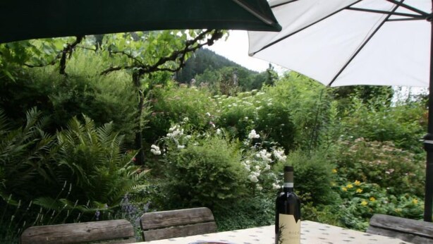 An outdoor table with a bottle of wine, a tin of food, and a small pot. - Vogelhütte by Interhome (Innsbruck)
