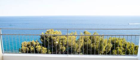 Appartamento (1 Bedroom) | Balcone