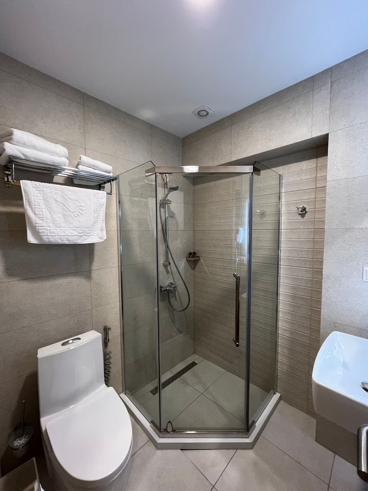 A modern bathroom with a glass-enclosed shower, a toilet, and a sink.