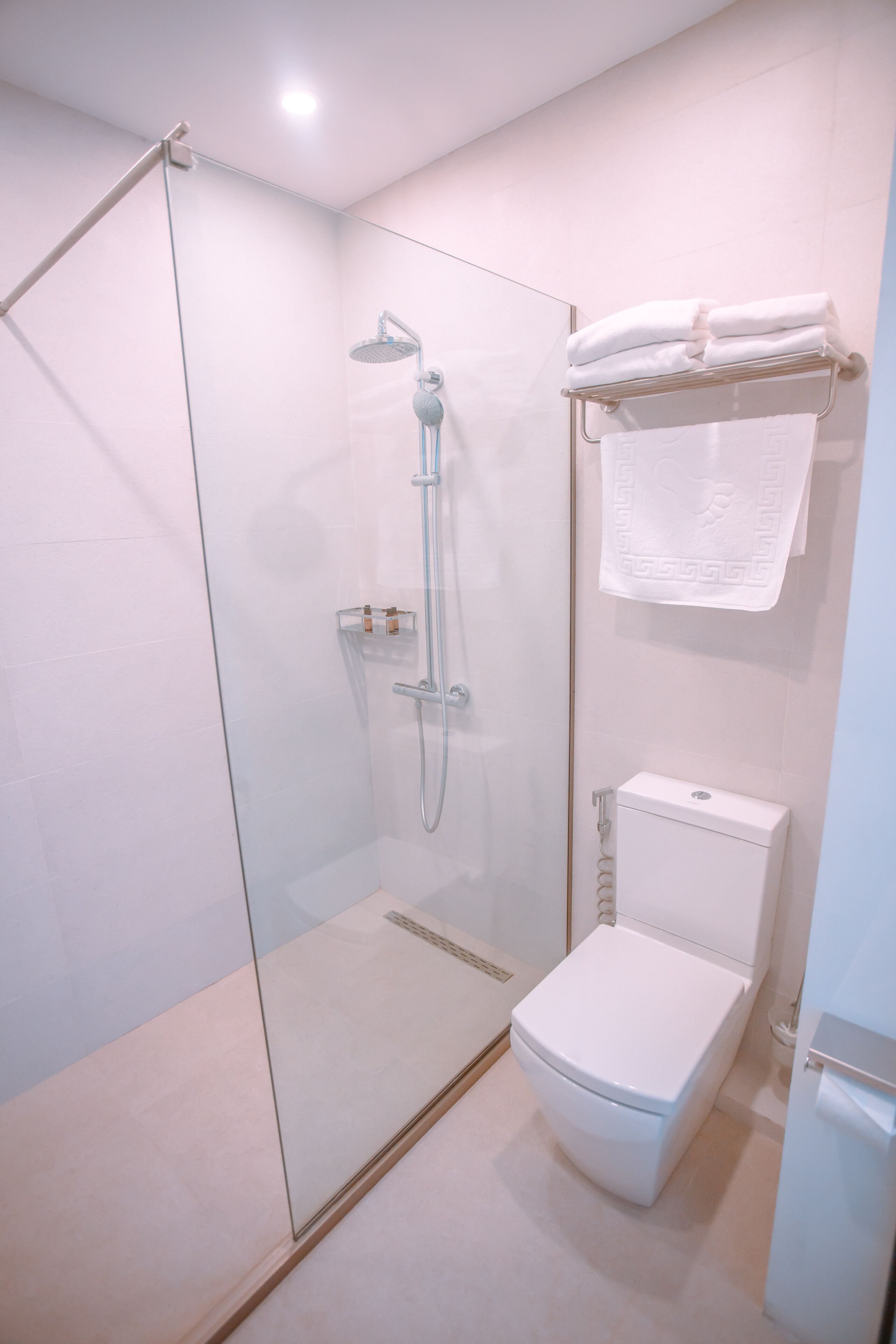 A modern bathroom with a glass-enclosed shower, a white toilet, and a towel rack.