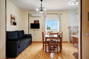 تلفزيون، مشغل دي في دي