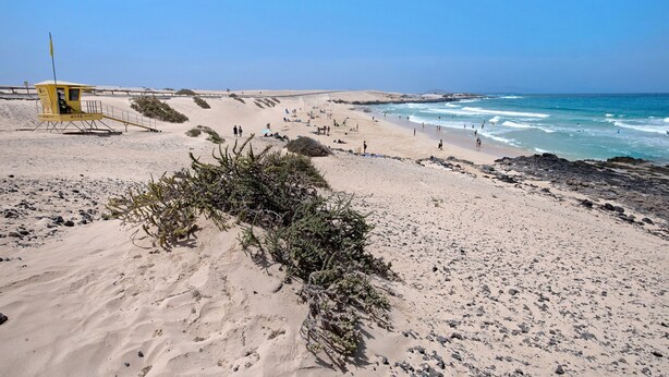 Une plage avec une tour de surveillance pour les sauveteurs, des dunes de sable et l’océan.