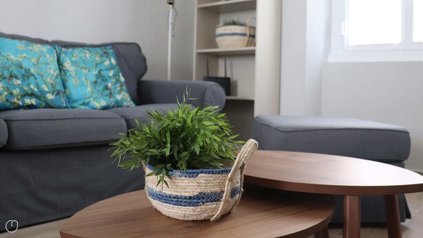 A living room with a grey sofa, a blue and white woven basket with a plant, and a wooden coffee table. - Italianway - Dogali 55 (Santa Margherita Ligure)