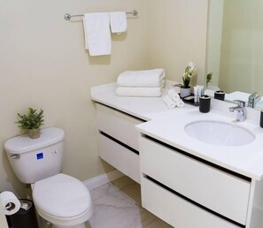 Hair dryer, towels, soap, toilet paper