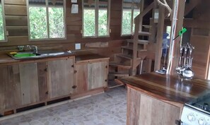 Fridge, oven, stovetop, electric kettle