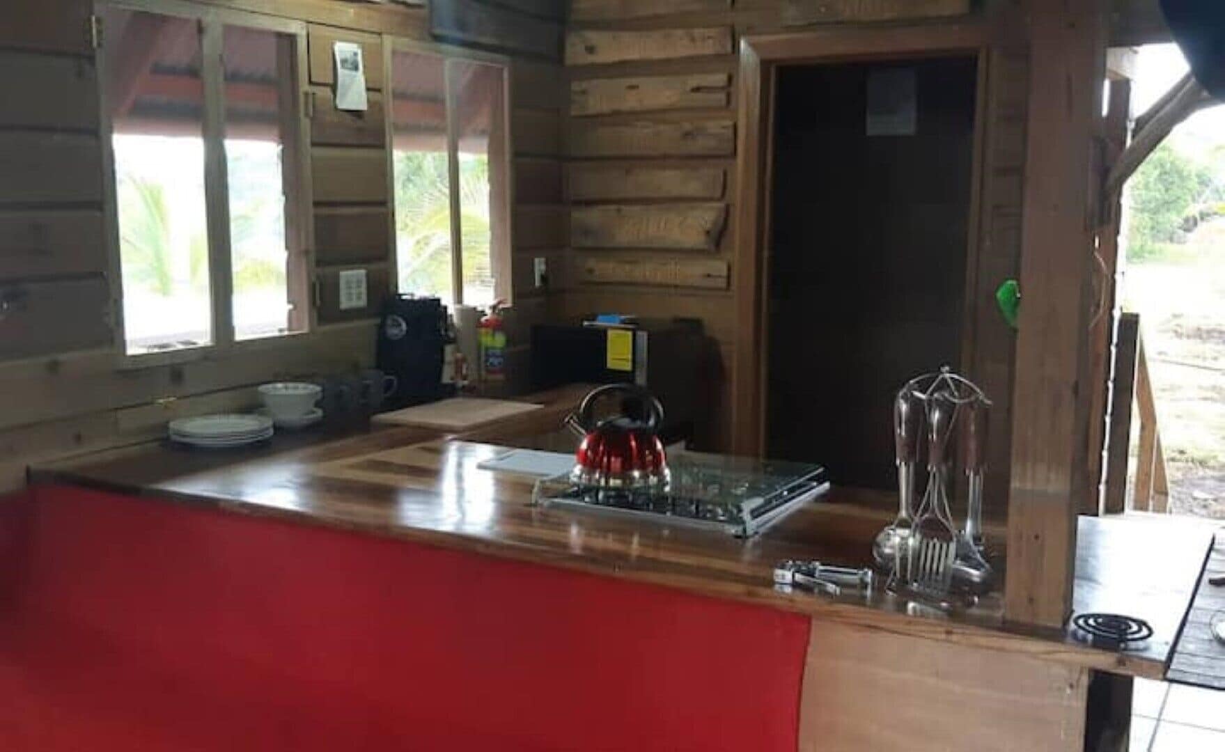 Fridge, oven, stovetop, electric kettle